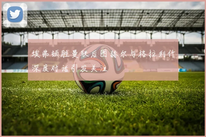 埃弗顿胜曼联后图赫尔与格拉利什深度对话引发关注
