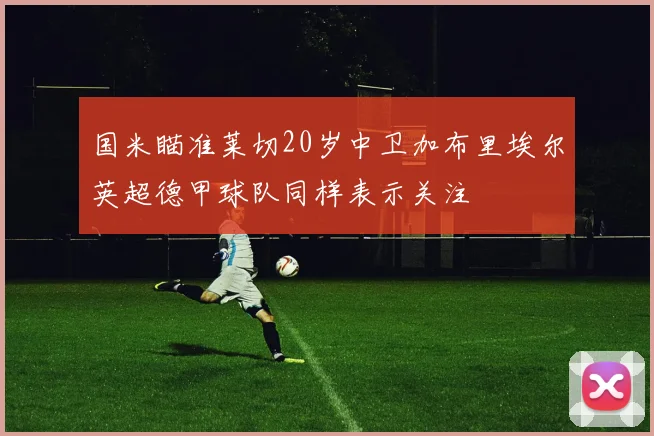 国米瞄准莱切20岁中卫加布里埃尔英超德甲球队同样表示关注