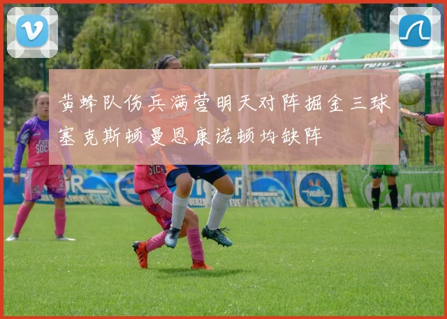 黄蜂队伤兵满营明天对阵掘金三球塞克斯顿曼恩康诺顿均缺阵