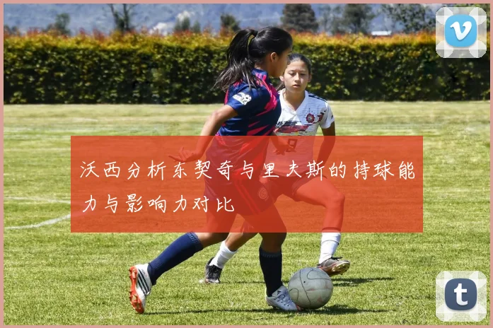 沃西分析东契奇与里夫斯的持球能力与影响力对比