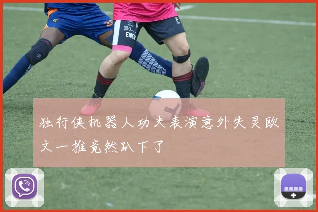 独行侠机器人功夫表演意外失灵欧文一推竟然趴下了